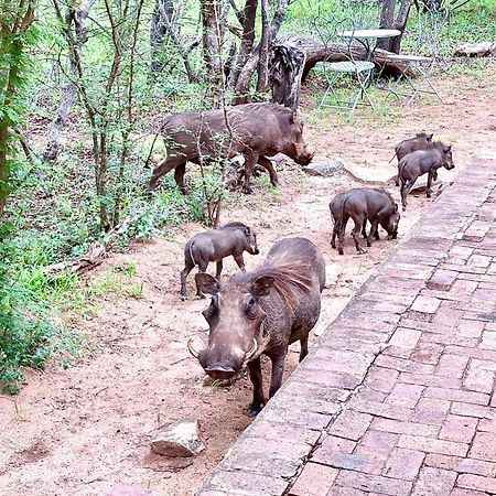 The Bush Hut Villa Hoedspruit Eksteriør bilde