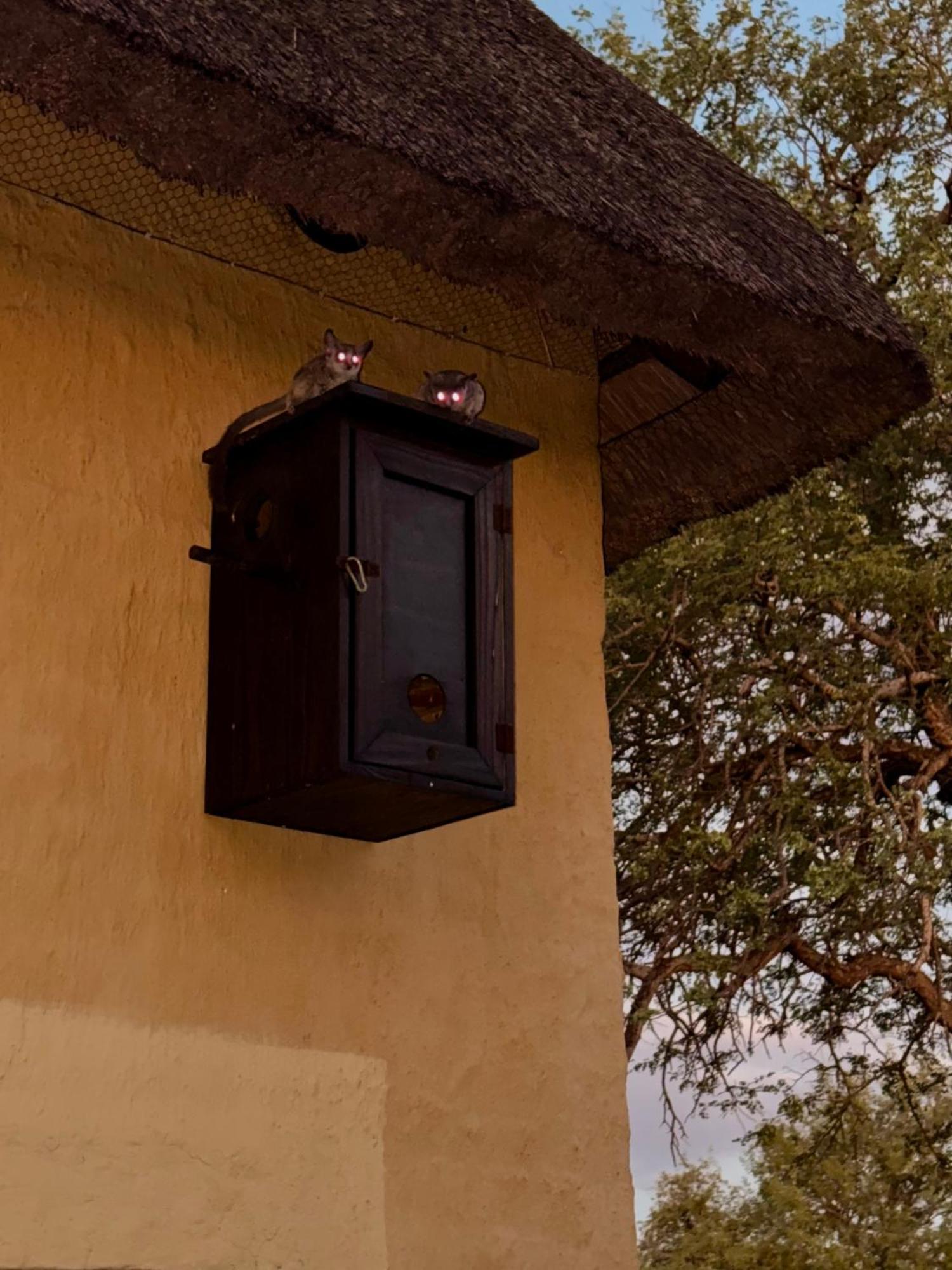 The Bush Hut Villa Hoedspruit Eksteriør bilde